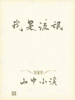 我是流氓