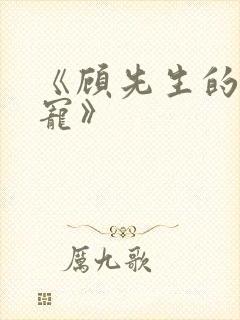 《顾先生的掌心宠》