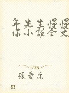 年先生慢慢喜欢你小说全文免费阅读