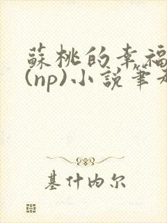 苏桃的幸福生活(np)小说笔趣阁沐沐