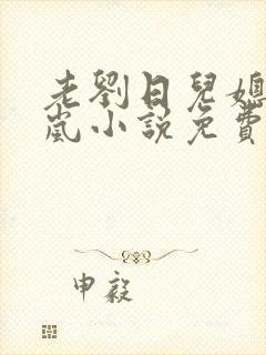 老刘日儿媳妇张岚小说免费阅读