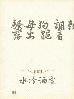 骚母狗 调教 露出 跪着