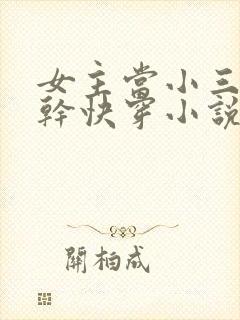 女主当小三的高干快穿小说禾火火封面