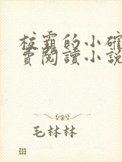 校霸的小确幸免费阅读小说