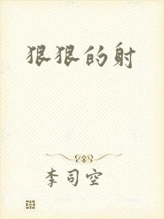狠狠的射