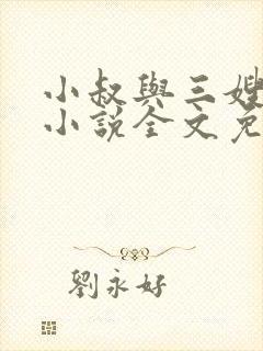 小叔与三嫂白莹小说全文免费阅读封面