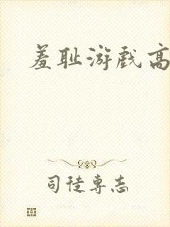 羞耻游戏高h封面