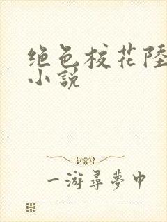 绝色校花陆冰嫣小说