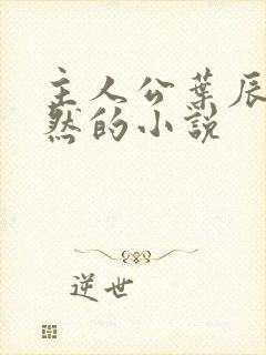主人公叶辰萧初然的小说
