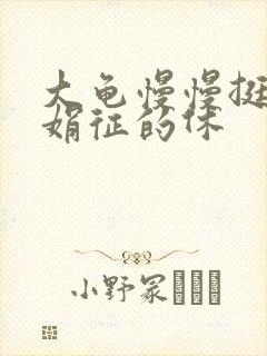 大龟慢慢挺进张娟征的休