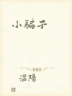 小骗子封面