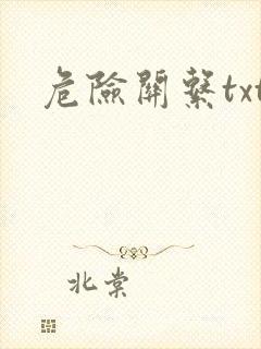 危险关系txt封面