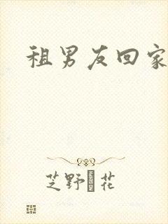租男友回家过年