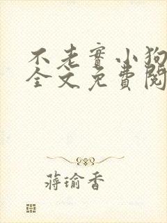 不老实小狗沈渡全文免费阅读最新章