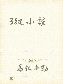 3级小说