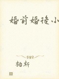 婚前婚后小说封面