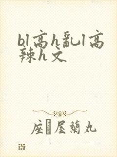 bl高h乱l高辣h文封面
