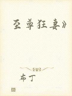 至尊狂妻》
