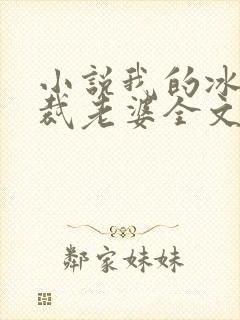小说我的冰山总裁老婆全文阅读