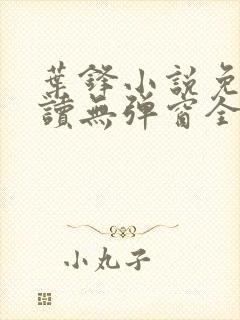 叶锋小说免费阅读无弹窗全文