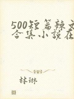 500短篇辣文合集小说在线阅读