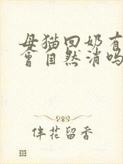 母猫回奶有硬块会自然消吗