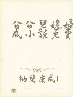 公公儿媳妇苏大成小说免费阅读全文封面