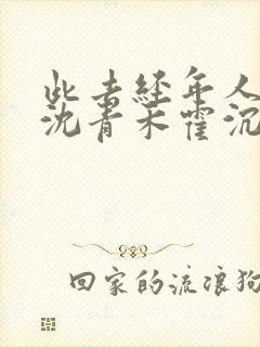 此去经年人未还沈青禾霍沉洲结局封面