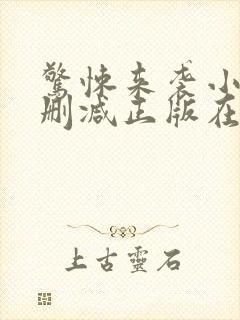 惊悚来袭小说无删减正版在线阅读