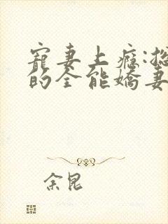 宠妻上瘾:总裁的全能娇妻