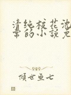 清纯校花沈柔日常的小说免费阅读