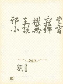 邪王权宠掌心娇小说无弹窗