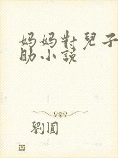 妈妈对儿子的帮助小说封面