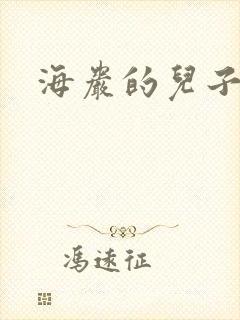海岩的儿子