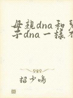 母亲dna和儿子dna一样不封面