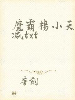 魔霸杨小天无删减txt