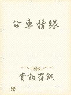 公车情缘