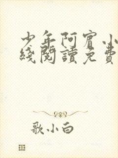 少年阿宾小说在线阅读免费全文封面