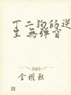 丁二狗的逆袭人生 无弹窗