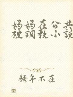 妈妈在公共场合被调教小说