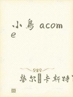 小鸟 acome
