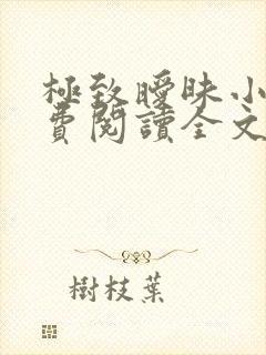 极致暧昧小说免费阅读全文小说主人公封面