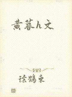 黄蓉h文封面