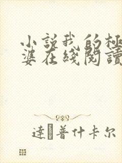 小说我的极品老婆在线阅读封面