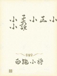 小柔小正小刚的小说