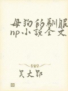 母狗的驯服之路np小说全文在线阅读