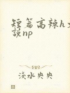 短篇高辣h文小说np