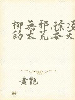 柳无邪,徐凌雪的太荒吞天诀封面