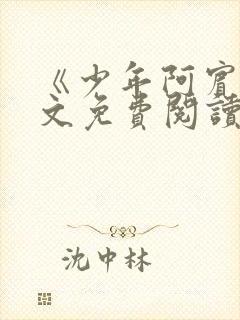 《少年阿宾》全文免费阅读