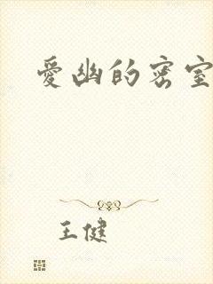 爱幽的密室小说